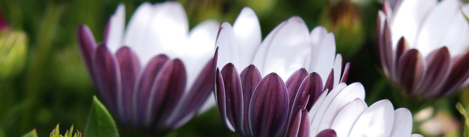 去哪买不会被骗的轰炸手机号码软件