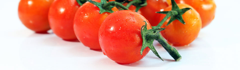 短信轰炸机网页版